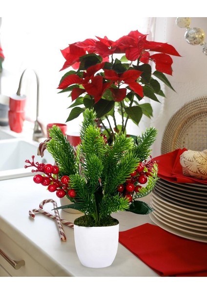 Yapay Çiçek Yılbaşı Çiçeği Kırmızı Kokina ve Çam Dalı Beyaz Aksıda 30*20CM fırsatları