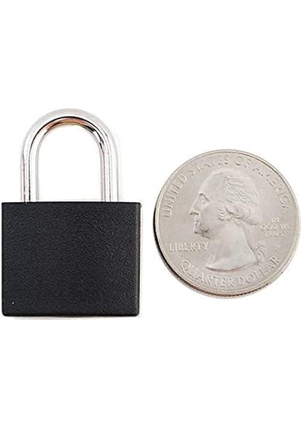 Vıp - 8 Adet Metal Asma Kilit Prinç Bagaj, Sırt Çantası, Günlük, Mücevher Kutusu, El Sanatları, Anahtarlı ve Dayanıklı Kapaklı Okul Öğretim Kilidi (Küçük, Nprgg) (Yurt Dışından) indirimleri