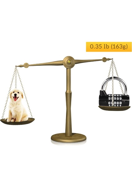 Haneli Şifreli Kilit,spor Salonu Asma Kilidi,değiştirilebilir Şifreli Kilit,okul Dolaplarına Uygun,alet Kutuları,çitler,siyah(2'li Paket) (Yurt Dışından) fırsatları