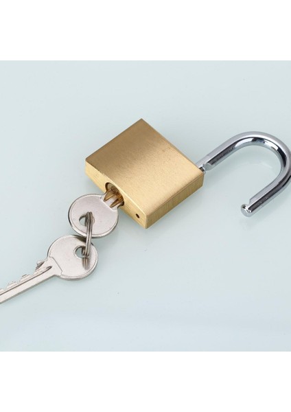 Abrafox Kilidi Prinç Anahtarlı Farklı Uzun Kelepçe Asma Kilit - (1-9/16 Inç 40MM 2 Paket) (Yurt Dışından)