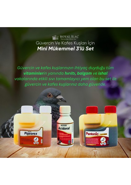 Royal Ilaç Güvercin Kafes Kuşları Ve Kanatlılar Için Mükemmel Üçlü Set (Acidoral+Pigeorex+Pantonic)