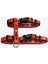 - Cat Passıon- Cat H-Harness Kedi Gezdirme Göğüs Tasması 1