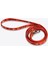 - Cat Passıon- Cat H-Harness Kedi Gezdirme Göğüs Tasması 2