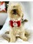 Santa Neo Köpek Papyonu Kurdela Tasma Yılabşı Noel 1