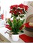 Yapay Çiçek Yılbaşı Çiçeği Kırmızı Kokina ve Çam Dalı Beyaz Aksıda 30*20CM 4