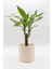Dekoratif Büyük Boy Silindir Beton Saksı / 13 cm 2