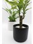 Dekoratif Büyük Boy Silindir Beton Saksı / 13 cm 5