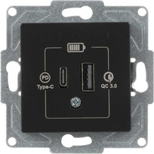 Günsan Elektrik Eqona  Radius  Neoline 2 Çıkışlı USB Şarj Prizi, 20W, Type C + Type A, Metalik Siyah (Mekanizma + TuşKapak)