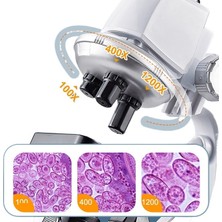 Biruixuan Optik Mikroskop 1200X Bilimsel Deney Seti (Yurt Dışından)