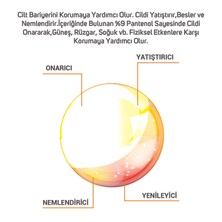 Cliniclab Panthenol %9 Onarıcı ve Nemlendirici Losyon 150 ml