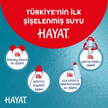 Hayat Küçük Çocuklara Özel Ambalajlı Su 6x330 ML