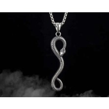 Viking Paslanmaz Kararmaz Çelik Şifa Simgesi Yılan Kolye