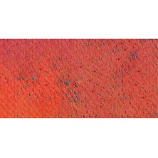 Caran D'ache Pastel Pencil Vermilion 060