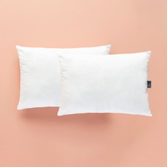 brand-icon
