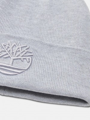 Timberland Tonal 3D Embroidery Beanie Erkek Gri Bere TB0A2PJRC811