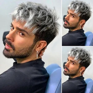 Erkekler Rahat Trendy Tam Saç Peruk Gümüş Gri Kısa Düz Katmanlı Peruk Moda (Yurt Dışından)