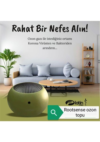 Ozon Topu Hava Temizleyici Dezenfeksiyon modelleri