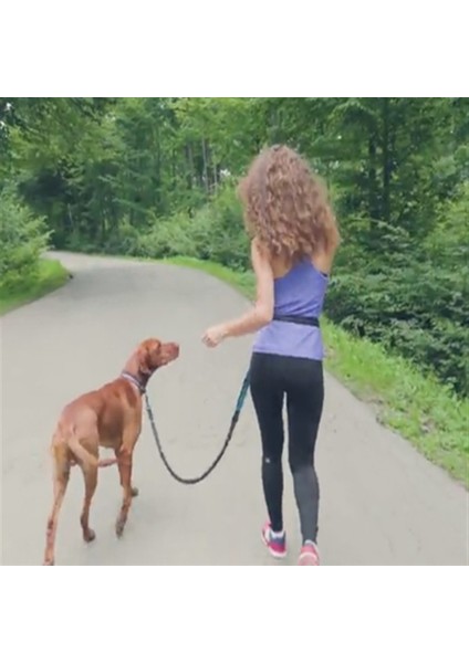 Köpek Spor Kemeri Tasması, Elastik Dışarı Çıkarma Geri Çekilebilir Köpek Tasması (Yurt Dışından)