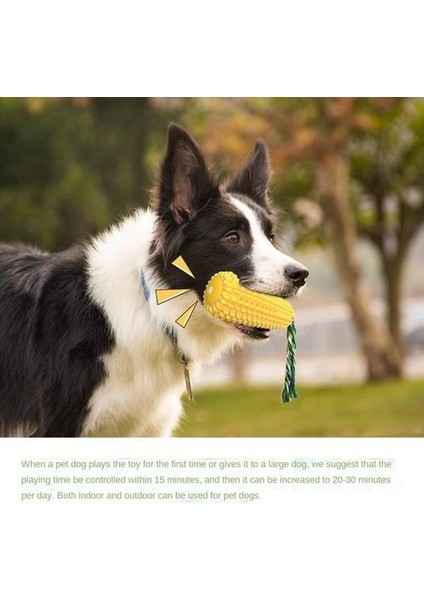 Pet Malzemeleri Diş Çıkarma Çubukları, Mısır Gıcırtılı Köpek Oyuncakları (Yurt Dışından) fırsatları