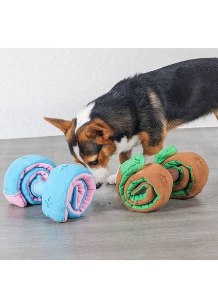Pet Dog Dambelli Oyuncak, Tibet Yemek Oyunu Eğitim Sporları Eğitimi (Yurt Dışından) fırsatları