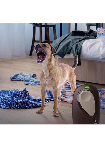 Ultrasonik Köpek Barking Caydırıcı, 2-In-1 Köpek Eğitimi ve Bark Kontrol Cihazı (Gri) (Yurt Dışından)