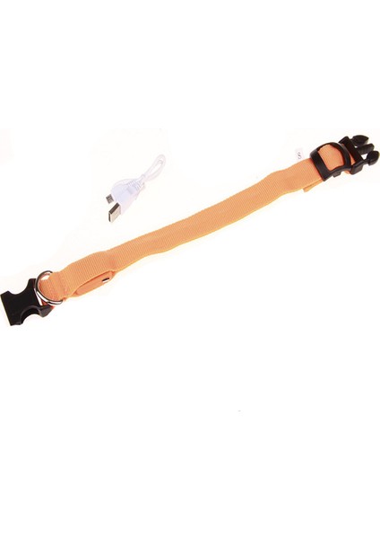 LED Pet Işınlı Yaka, USB Şarj Etme Küçük ve Orta Köpekler Için (Yurt Dışından)