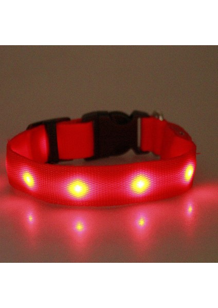 LED Pet Işınlı Yaka, USB Şarj Etme Küçük ve Orta Köpekler Için (Yurt Dışından) modelleri
