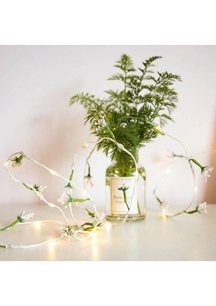 LED Kabine Bakır Tel Telli Işıklar, Rattan Işıkları Şenlikli Düğün Işıklarını Süslemek (Yurt Dışından)