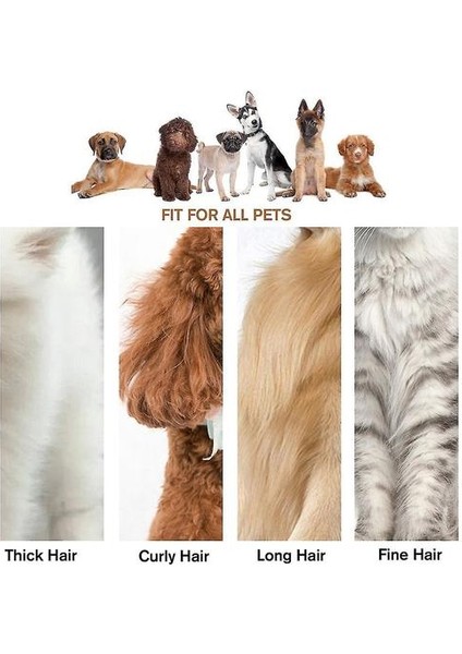 Elektrikli Kedi Köpek Pet Tıraş Kesme Makinesi Saç Gürültü Akülü Bakım Kırpma Seti (Yurt Dışından) fırsatları