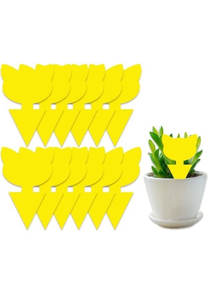50 Pack Sticky Traps For Indoor/outdoor Use, Gnat Trap For Flying Plant Insect Such As Fungus Gnats, Whiteflies, Aphids, Leafminers - Disposable Glue (Yurt Dışından)