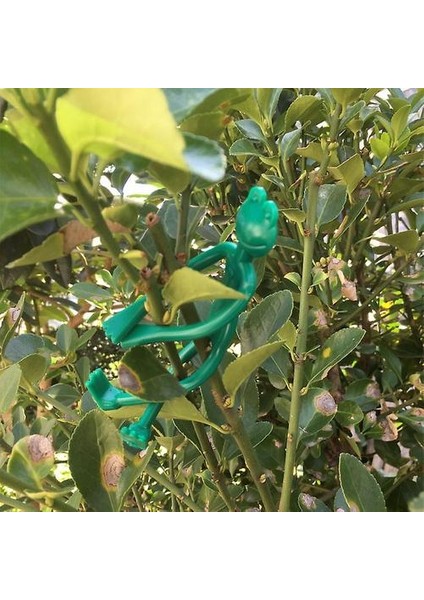 Bitki Kablo Çerçeveleri Ağacı Dekoratif Kurbağa Bağları Kurbağa Bahçe Bağları Bitkiler Bahçe Desteği Bahçe Malzemeleri 10 Adet Jiujiuso (Yurt Dışından) fırsatları