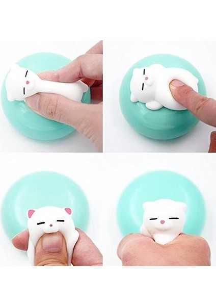 16 Adet Kedi Squishy Mini Squishies Stres Mochi Squishy Oyuncaklar Mochi Squishies (Yurt Dışından)