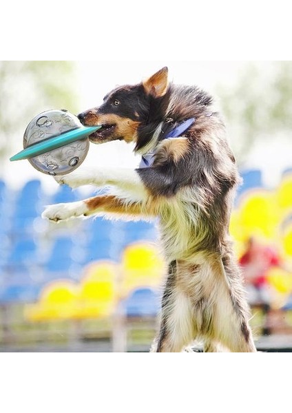 Uçan Daire Köpek Oyunu Fly Diskler Oyuncaklar Kedi Çiğneme Sızıntı Yavaş Gıda Besleyici Topu Yavru Iq Eğitim Komik Oyuncak Anti Boğukluk Bulmaca Köpekler | Köpek Besleme (Yurt Dışından)