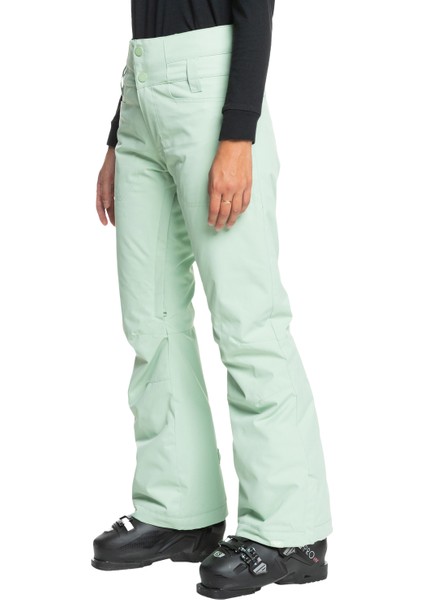 Diversion Kadın Snowboard Pantolonu fiyatları
