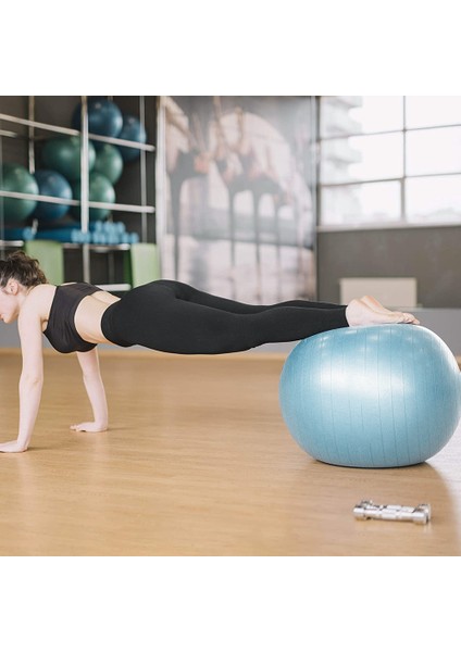 Yoga Fitness TOPU-65CM-MAVI (Yurt Dışından)