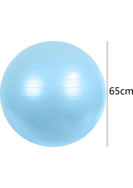Yoga Fitness TOPU-65CM-MAVI (Yurt Dışından)