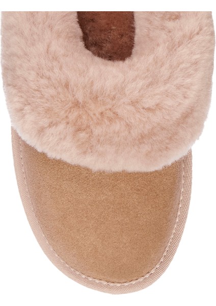 Jolie Terlik fırsatları