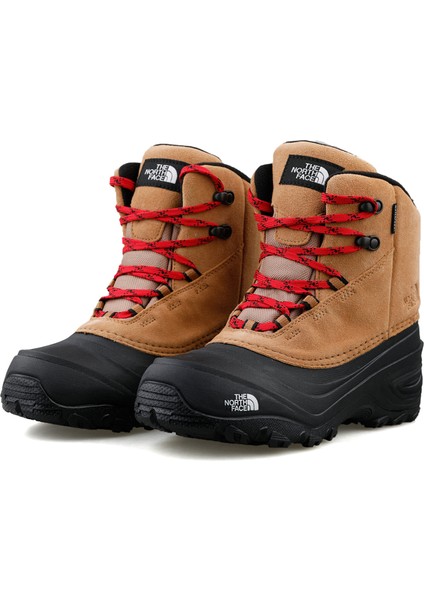 Y Chilkat V Lace Wp Genç Outdoor Botu NF0A7W5YKOM1 Kahverengi