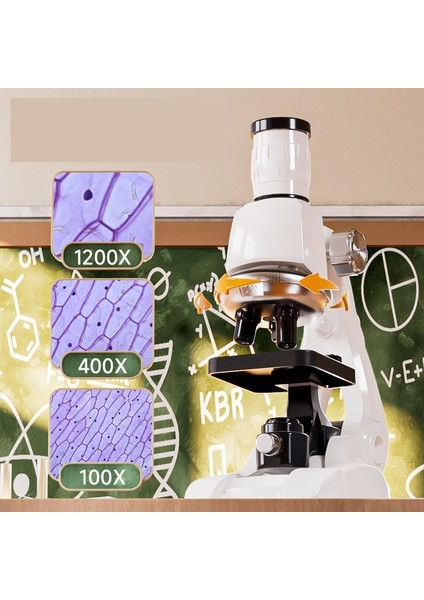 Taşınabilir Mikroskop Oyuncak Bilim Deneyi (Yurt Dışından)