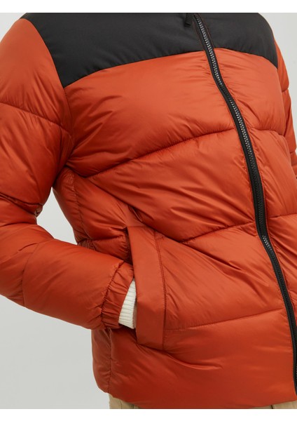 Jjetoby Puffer Collar Sn Erkek Bordo Mont 12235860-18 modelleri