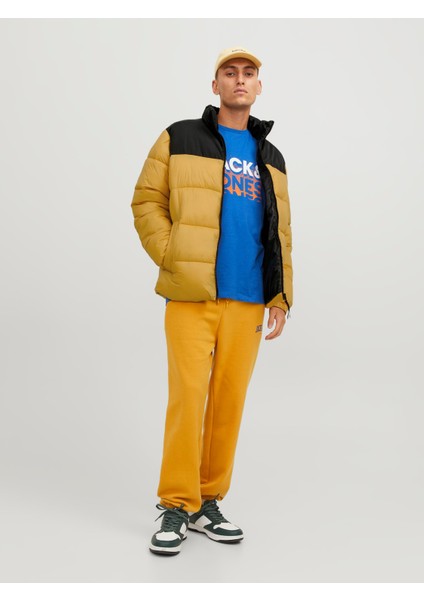 Jjetoby Puffer Collar Sn Erkek Sarı Mont 12235860-22 fiyatları