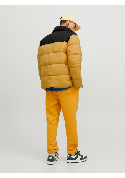 Jjetoby Puffer Collar Sn Erkek Sarı Mont 12235860-22 modelleri