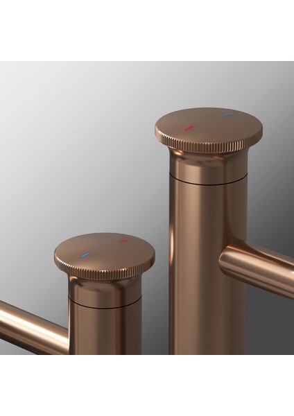 E 5529 Arte Leo L Lavabo Bataryası-Ros Gold modelleri