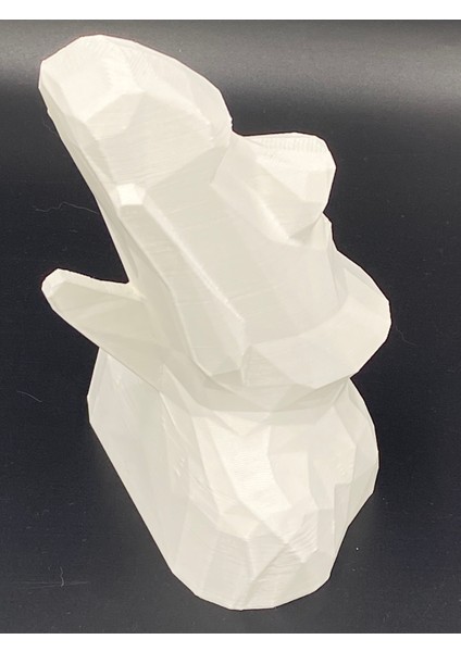 KemX3D Moai Gözlük Standı