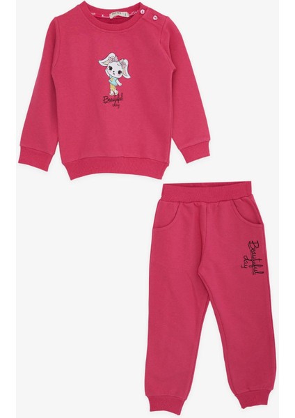 Kız Bebe Çocuk Pamuklu Eşofman Takım fiyatları
