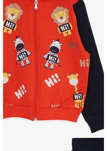 Erkek Bebek Çocuk Pamuklu Hayvanlar Alemi Baskılı Kapüşonlu Eşofman Takım modelleri