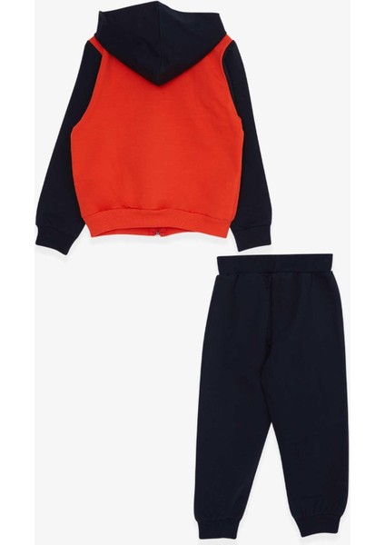 Erkek Bebek Çocuk Pamuklu Hayvanlar Alemi Baskılı Kapüşonlu Eşofman Takım indirimleri