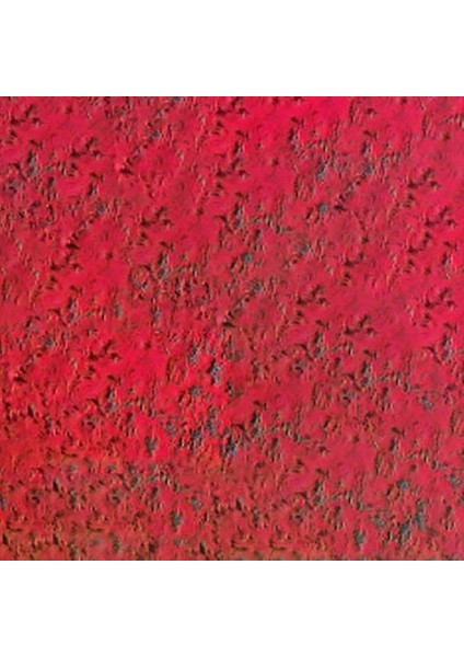 Pastel Pencil Scarlet 070 fiyatları