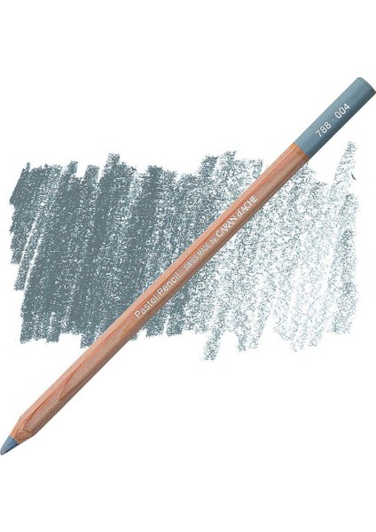 Pastel Pencil Steel Grey 004 fırsatları