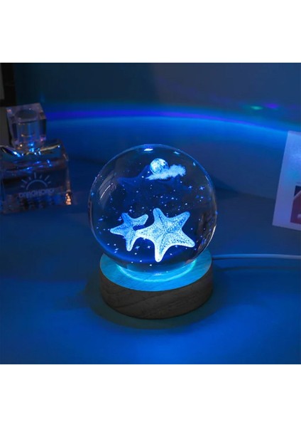 Kişiye Özel Işıklı Ahşap Kaideli Deniz Yıldızı Cam Küre 8 cm 6 cm modelleri